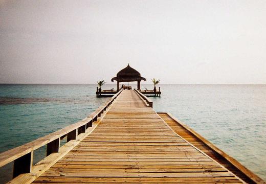 The Role of NGOs in Community Development